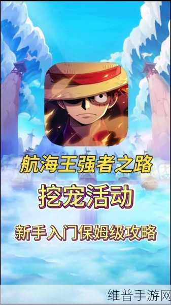 航海王强者之路，打造最强草帽团阵容秘籍