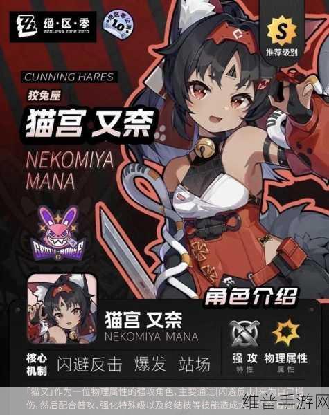 绝区零猫又配对玩法全解析，助你称霸游戏
