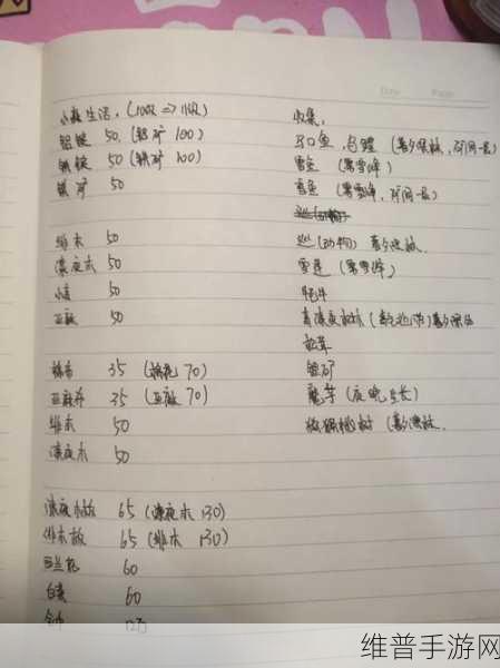 小森生活冬瓜烧肉配方大揭秘，美味佳肴轻松做