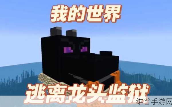 我的世界，驯服末影龙的终极秘籍
