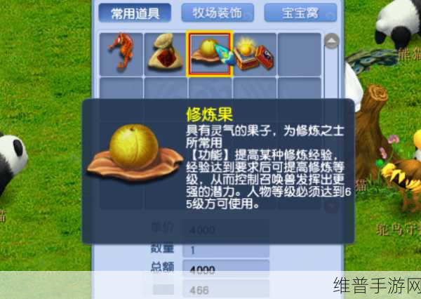 梦幻西游手游修炼果修炼经验全解析