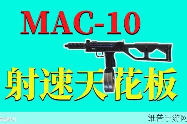 使命召唤手游，SKS 配件搭配秘籍大公开