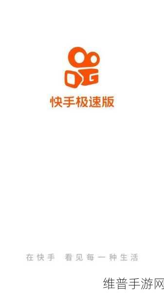 快手极速版视频语音接收异常之解