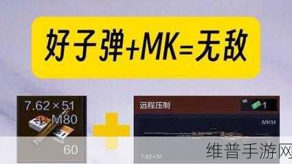 暗区突围子弹是否拥有行动物资标全解析
