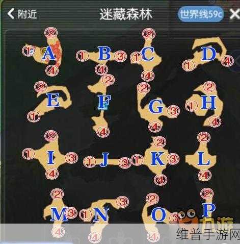 仙境传说 RO 手游，迷藏森林通关秘籍