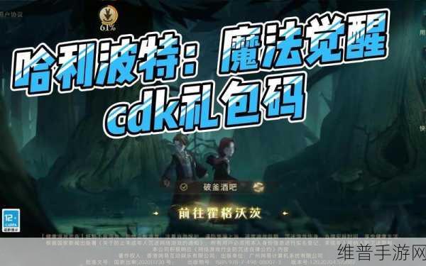 哈利波特，魔法觉醒 兑换码兑换全攻略