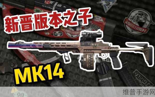 暗区突围中 MK14 的实力究竟几何