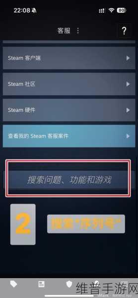 轻松上手 Steam 手机版游戏安装全指南