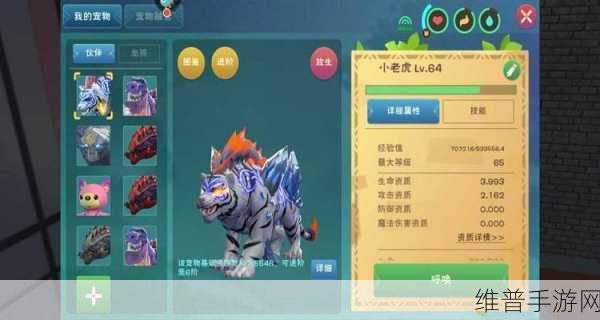 创造与魔法，幼紫鲨饲料全揭秘