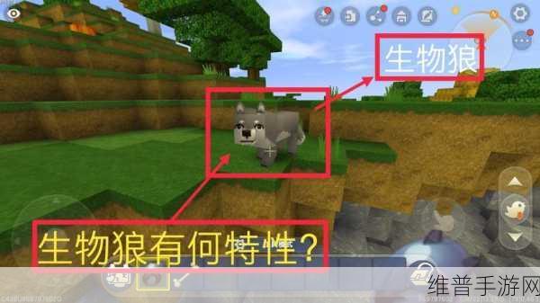 迷你世界驯服狼的全方位指南