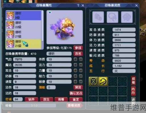 梦幻西游手游，谛听技能搭配与观照万象加点全攻略