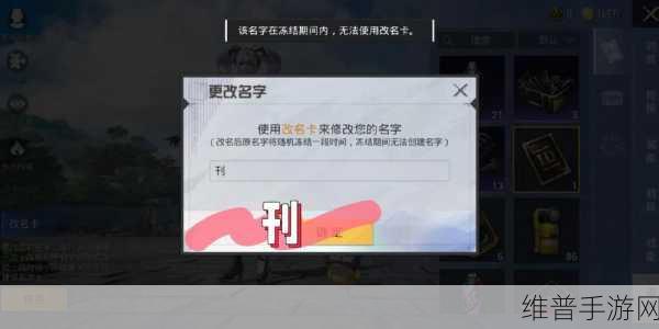 和平精英名字冻结时间精准查询指南