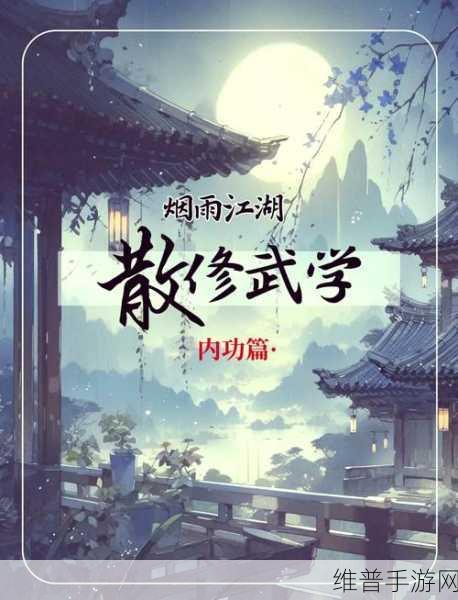 烟雨江湖泰安镇宝藏碎片全解析