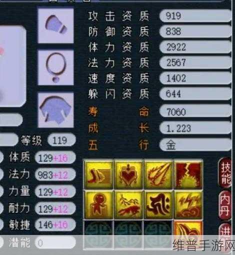 梦幻西游手游，观照万象技能深度解析与实战运用