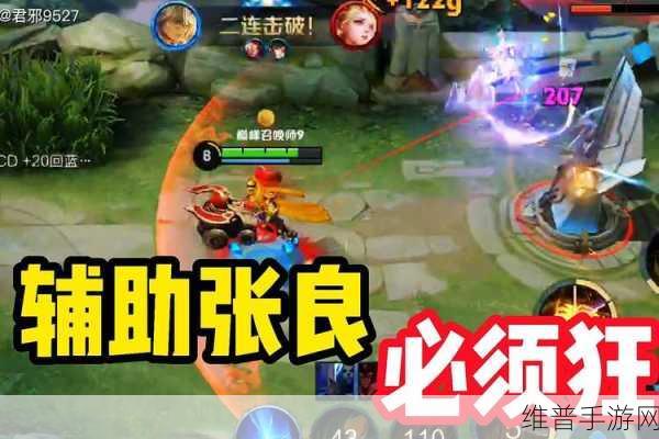 王者荣耀，无奈版辅助张良的独特玩法指南