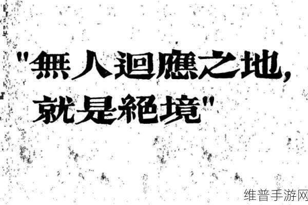 快手极速版交流之谜，评论私信无人回应的深度剖析