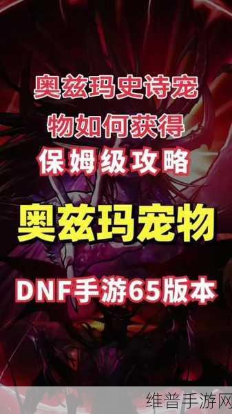 DNF 手游宠物大揭秘，功能与最强宠物探寻