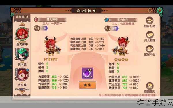无双西游飞升副本，深度解析与畅玩指南