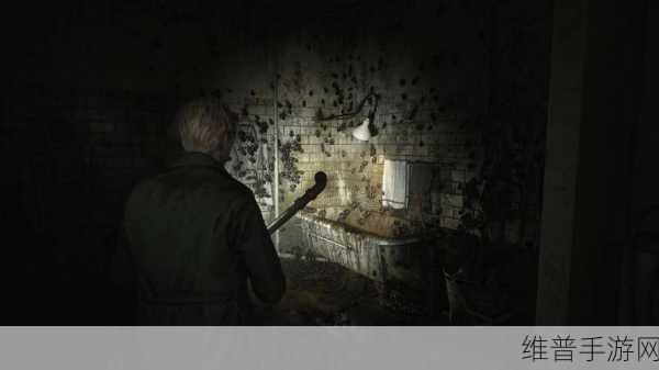 寂静岭 2 重制版 Steam 搜索无果背后的深度剖析