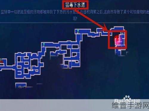 重生细胞,探寻庇护所的精确位置秘籍