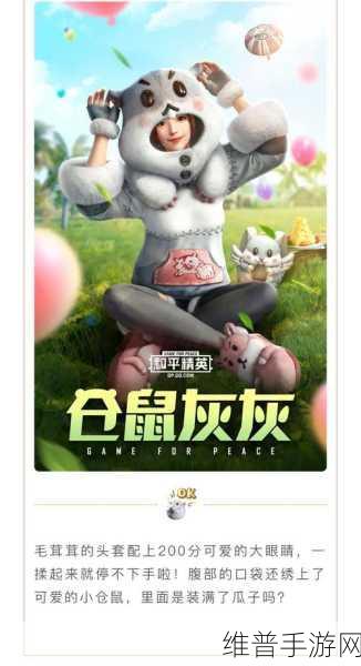 和平精英仓鼠灰灰套装全方位解析