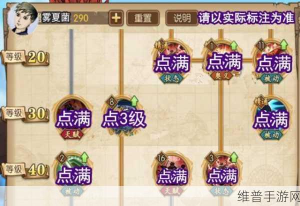 航海王燃烧意志,新世界山治加点全攻略