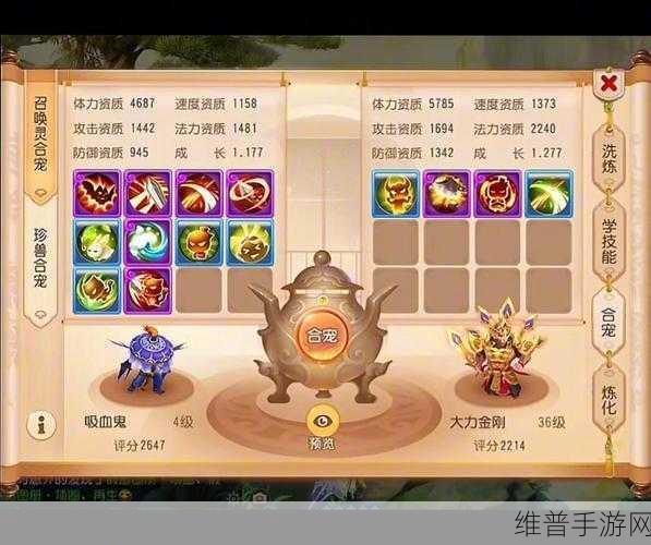 梦幻西游手游合宠秘籍,玩法全解析与实用技巧大放送