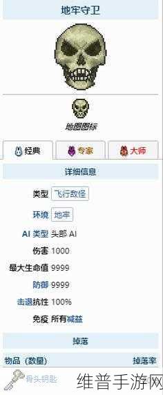 泰拉瑞亚，让地牢旁老头入住家中的秘籍
