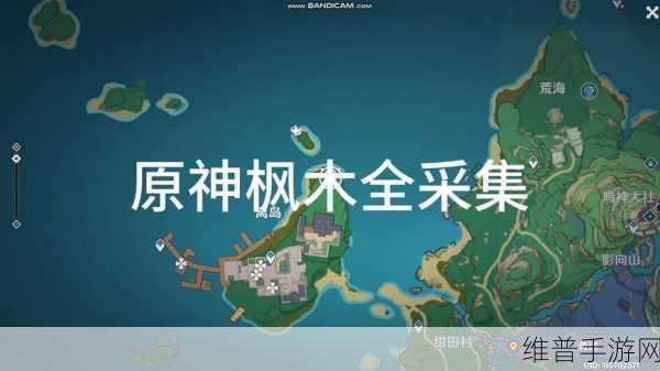 原神，松木采集与红染料获取全攻略 2022 版