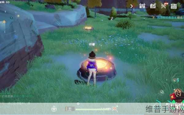 幻塔回音环踩点全解析，突破谜题的终极攻略