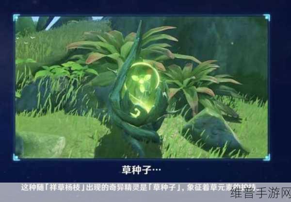 原神，种植玩法大揭秘，田亩与种子全攻略