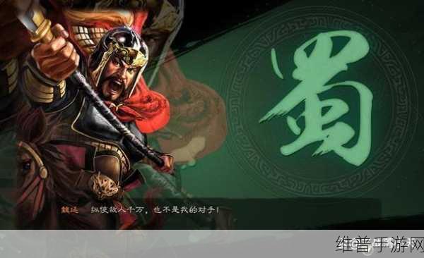 少年三国志 2，姜维与魏延实力大比拼，前期阵容抉择指南