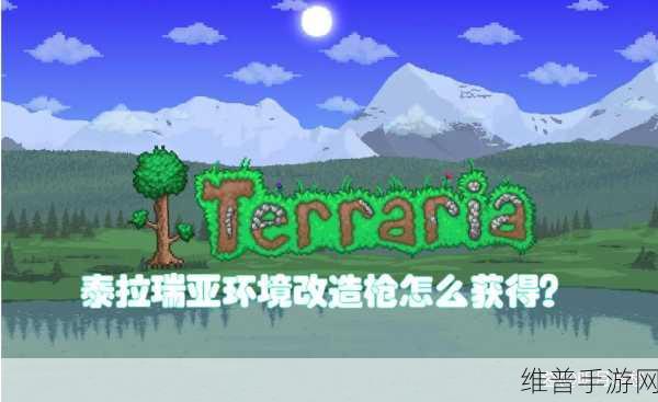 泰拉瑞亚，环境改造枪溶液制作全攻略