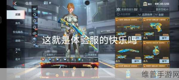 穿越火线手游体验服报名指南，详细步骤与关键要点