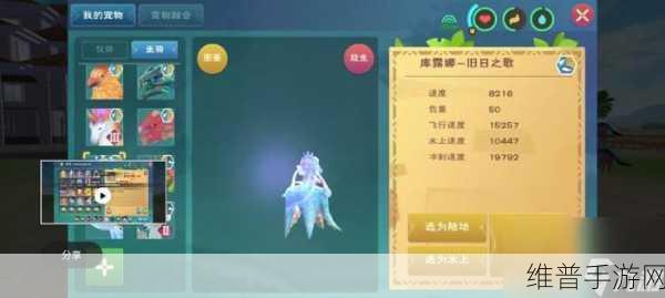 创造与魔法，解锁鳞甲海龟饲料配方的秘籍
