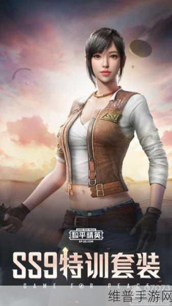 和平精英双人作战秘籍，称霸战场的终极指南