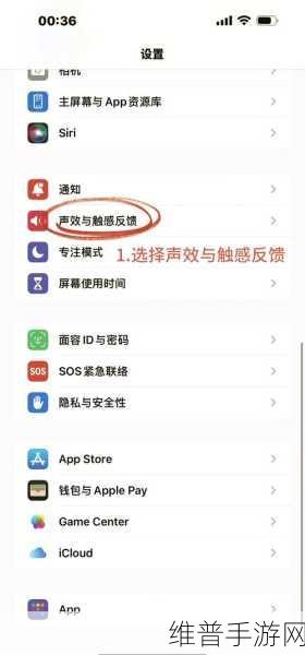 苹果手游单手操作设置秘籍大公开