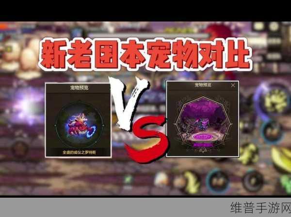 DNF 手游，解锁史诗级宠物装备的终极指南