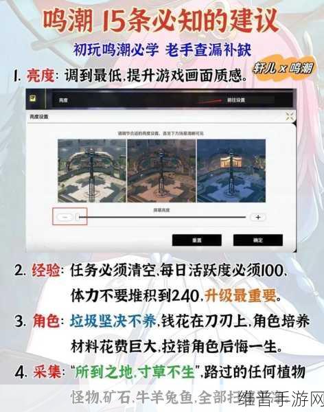 鸣潮新手必知的强力开荒阵容秘诀