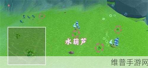 创造与魔法,鳞甲海龟饲料配方全解析