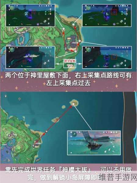 原神绯樱绣球采集全攻略