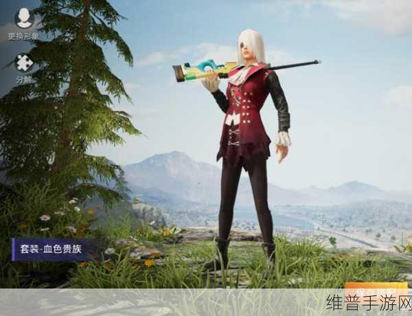 和平精英中血色贵族裤子的拆解奥秘