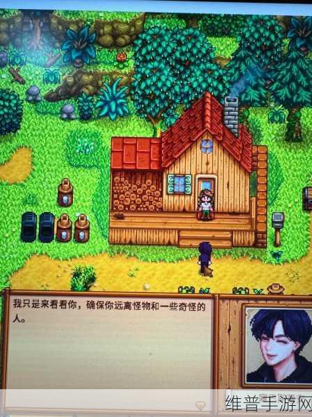 星露谷物语，赢得塞巴斯蒂安红心秘籍