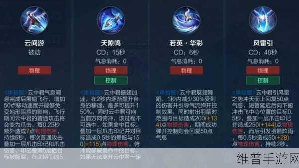 王者荣耀，深度解析霸体机制与实战运用