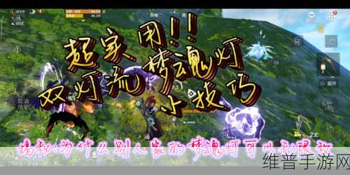 妄想山海中九首定魂灯的神秘用途全解析