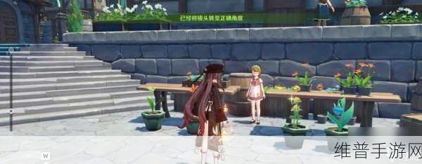 原神风花节留影任务，全面攻略与技巧解析