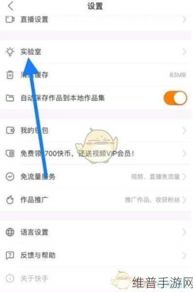 快手极速版视频无法播放之谜，手游视角的深度解析