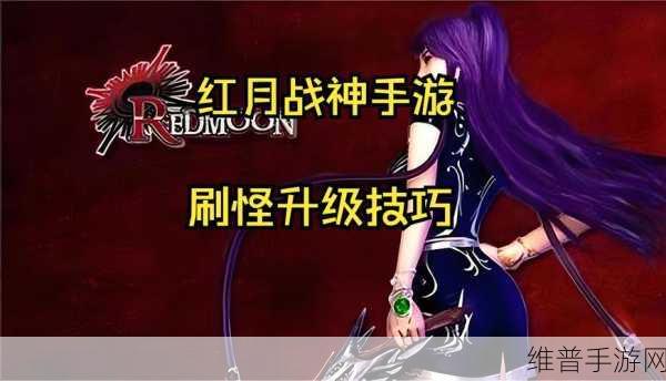 手游秘籍，突破难关 称霸战场