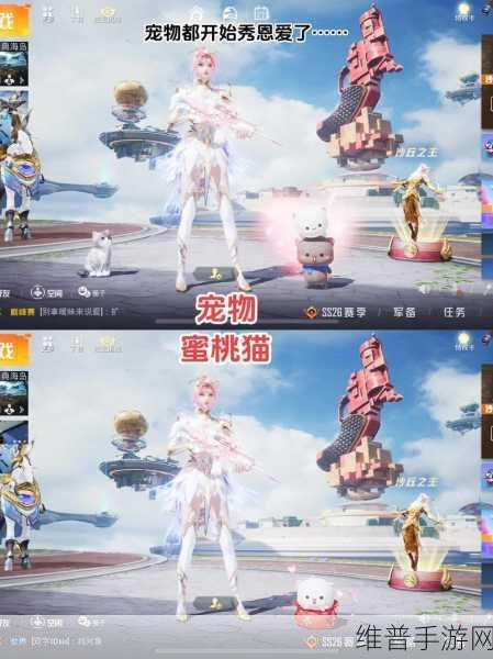 和平精英宠物上线时间全知道