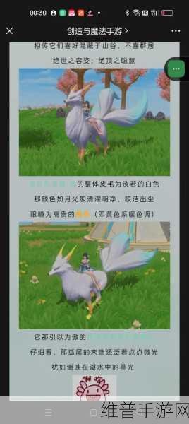 创造与魔法新手必备，超实用坐骑推荐指南